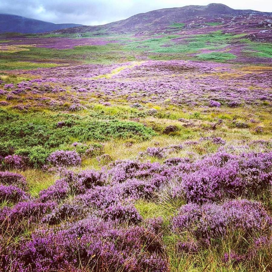 Baltinna East - By Where Stags Roar Holiday home Newtonmore