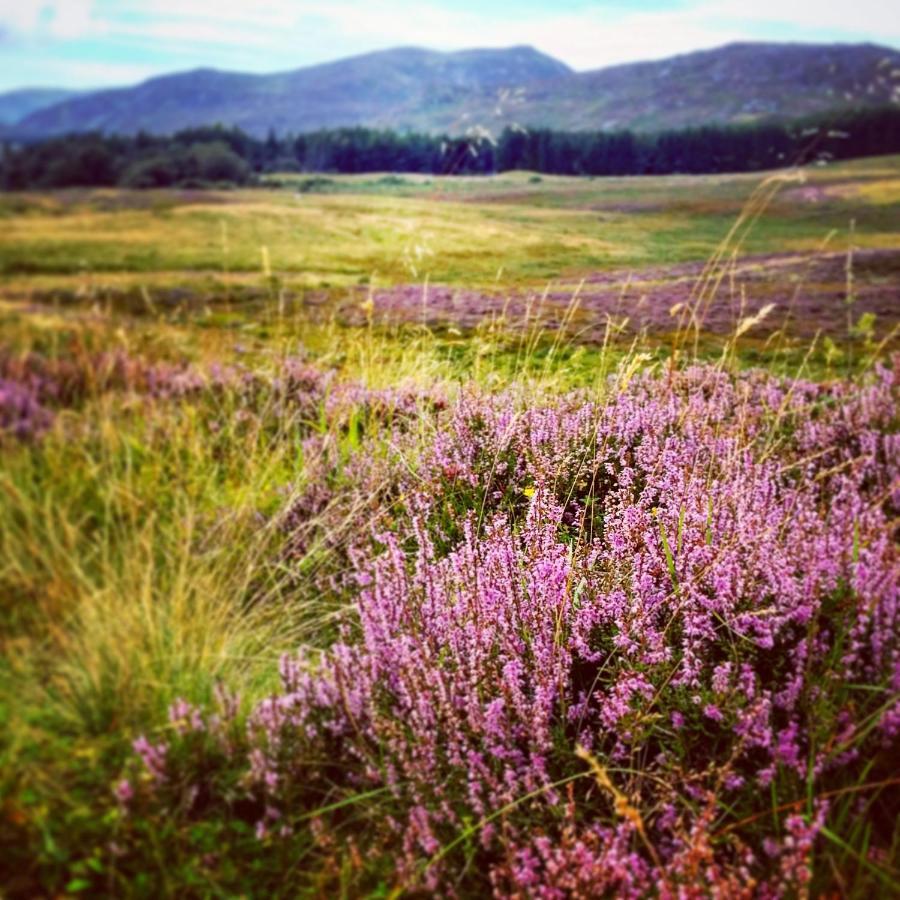 Holiday home Baltinna East - By Where Stags Roar